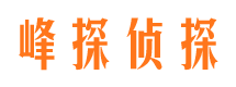 友谊市侦探公司